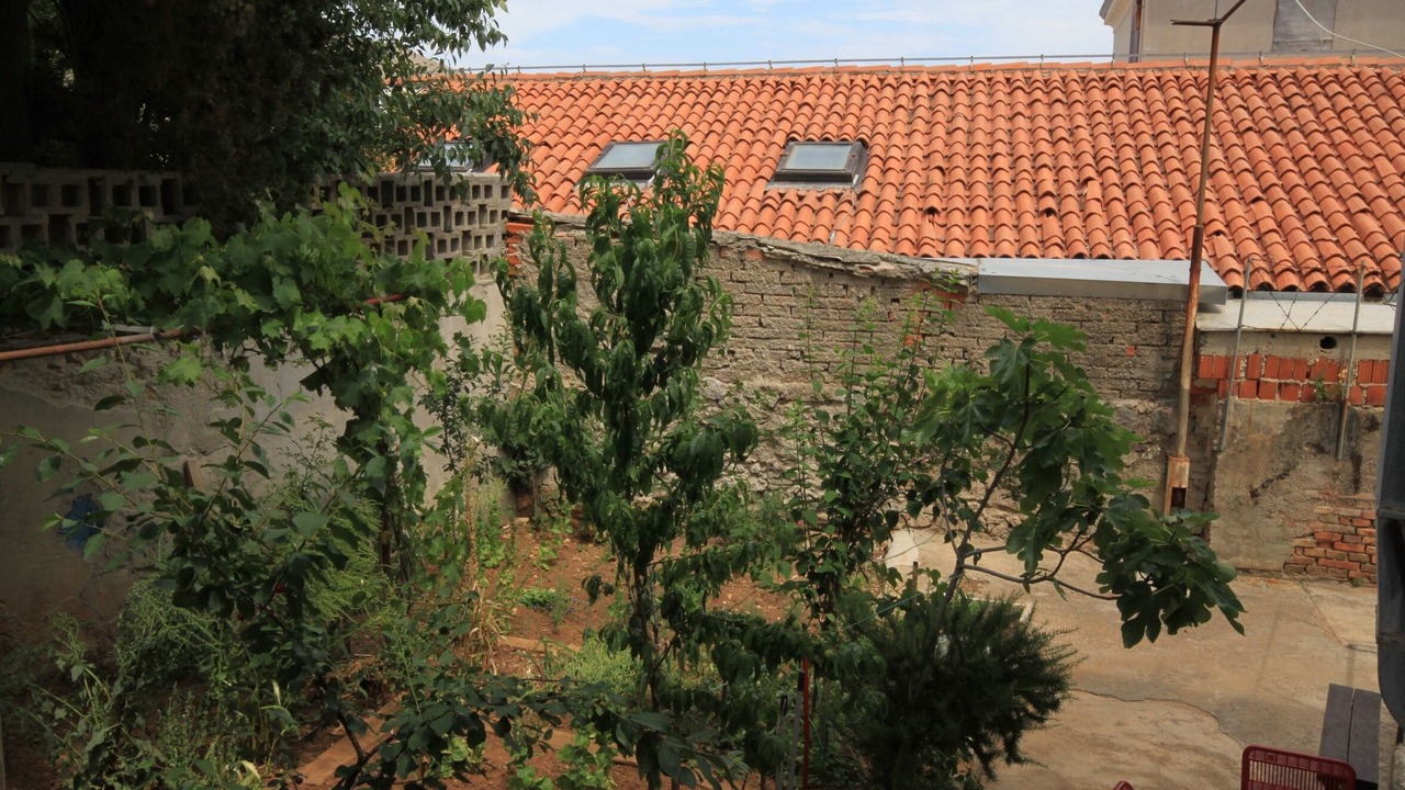 Photo of Others in Cove Murtar