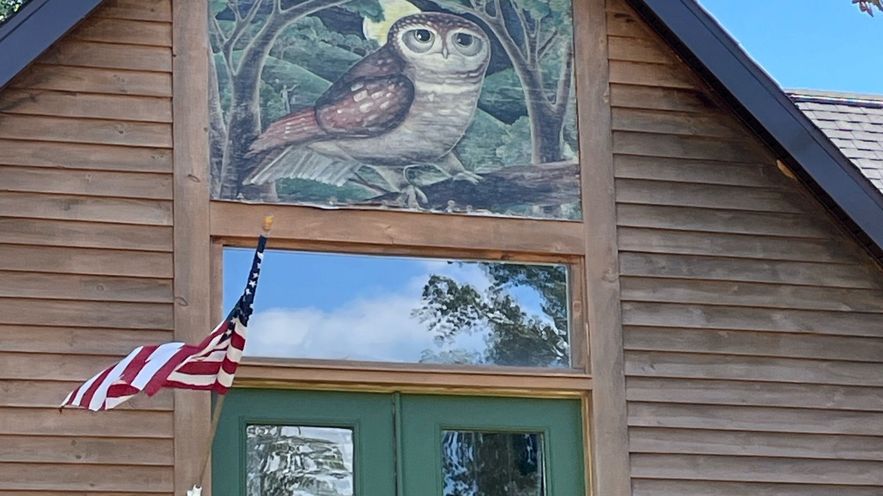 Photo of Outdoor in Amherst
