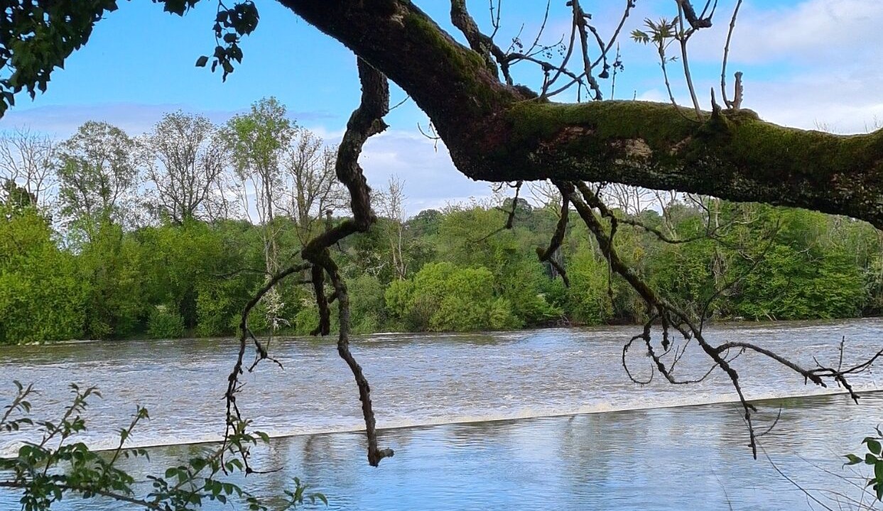 Photo of Outdoor in Vauconcourt-Nervezain