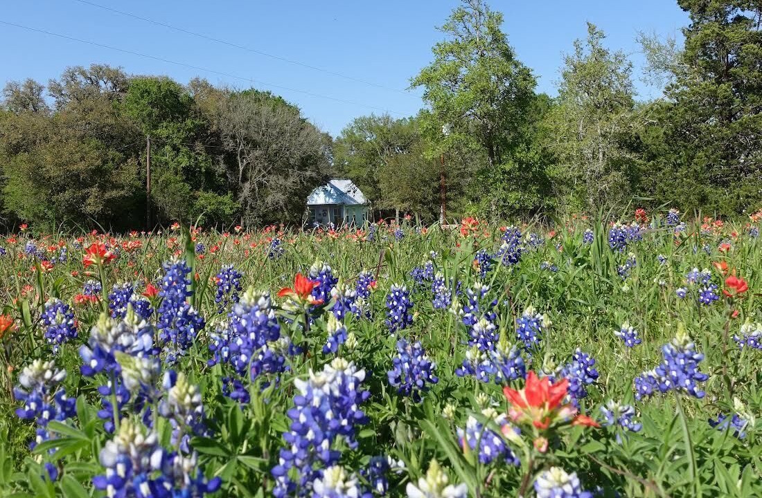 Photo of Outdoor in Round Top