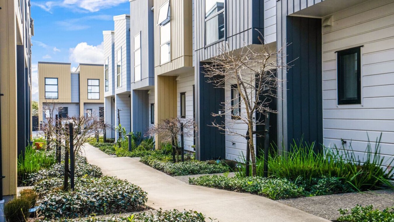 Photo of Outdoor in Auckland