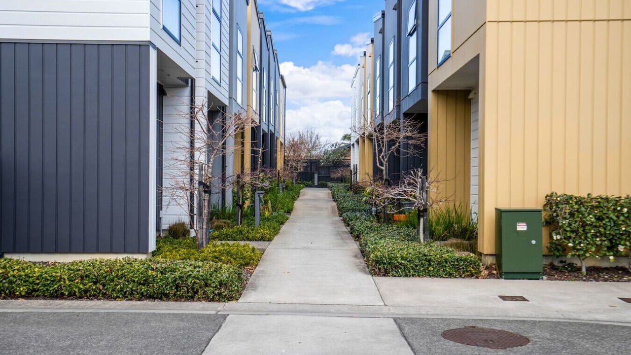 Photo of Outdoor in Auckland