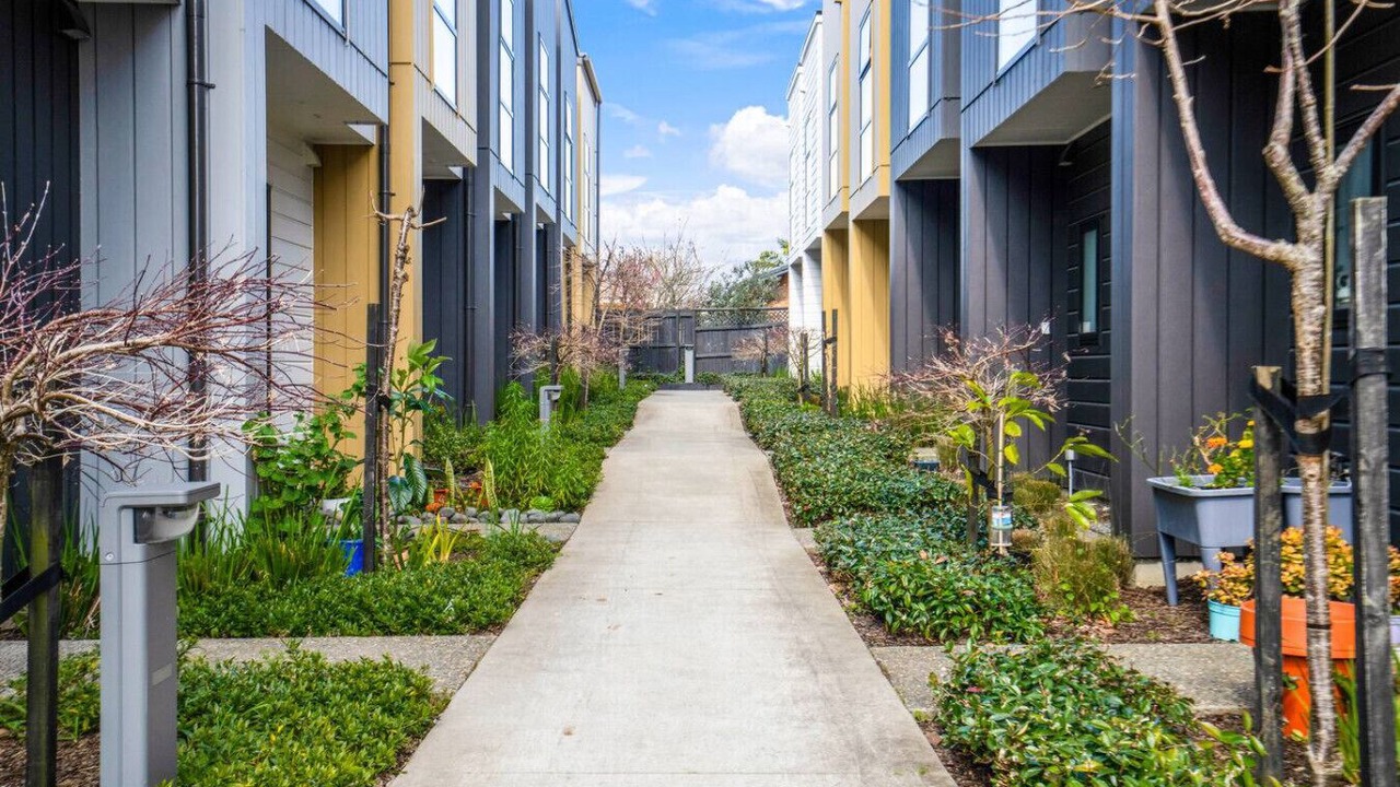 Photo of Outdoor in Auckland