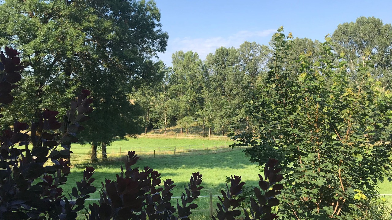 Photo of Outdoor in Mirandol-Bourgnounac