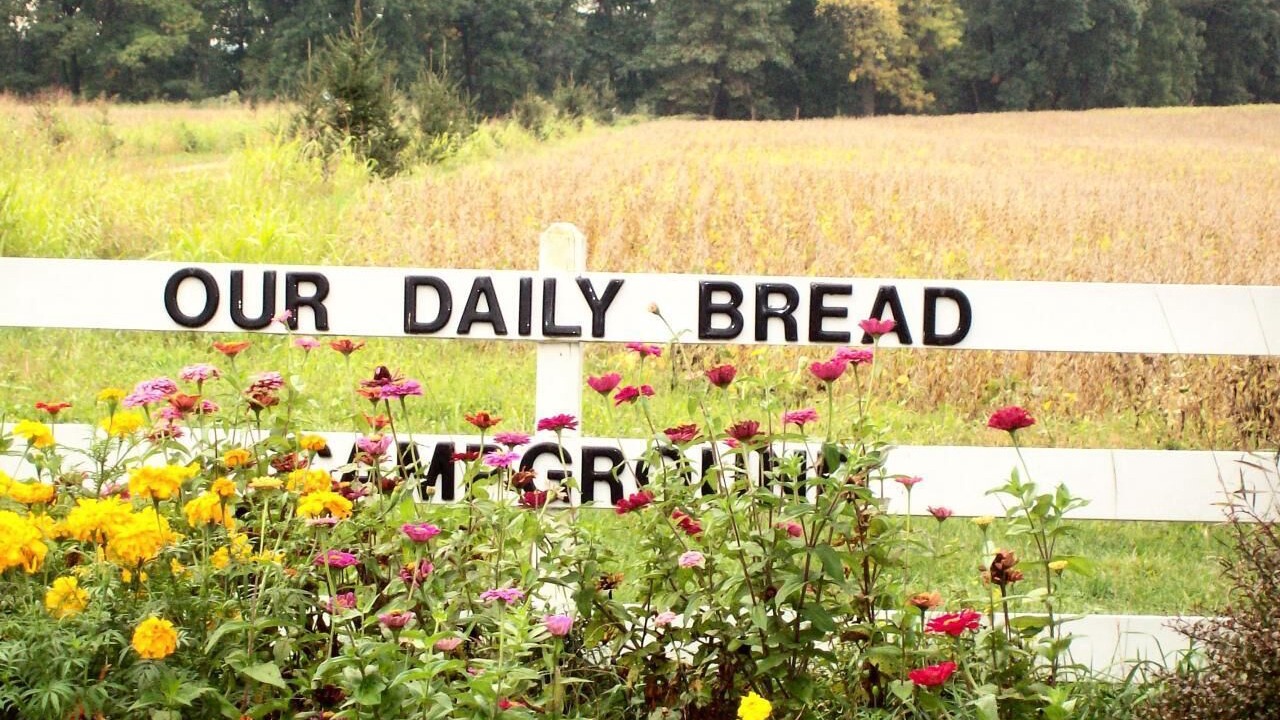 Photo of Outdoor in Marcellus