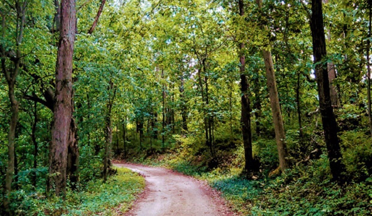 Photo of Outdoor in Marcellus