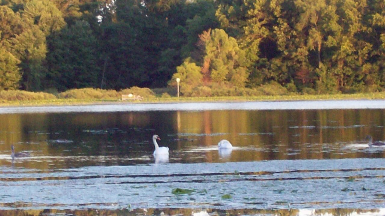 Photo of Outdoor in Marcellus