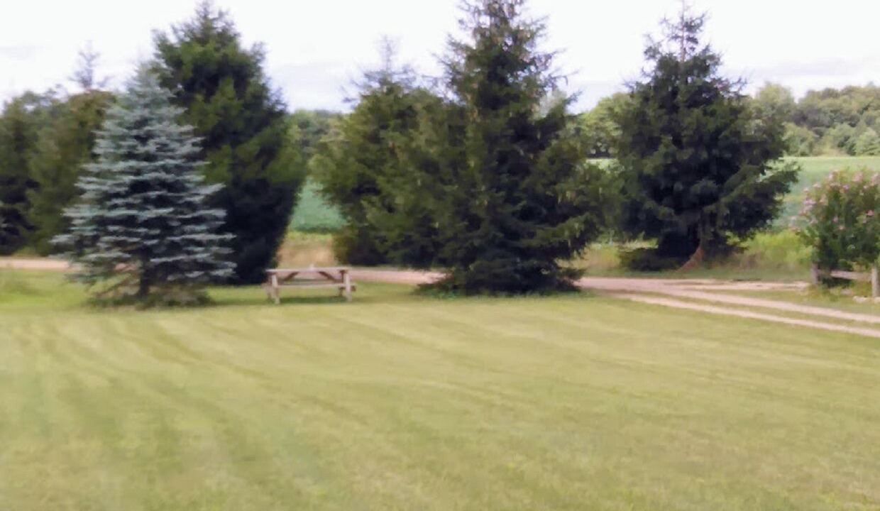 Photo of Others in Marcellus