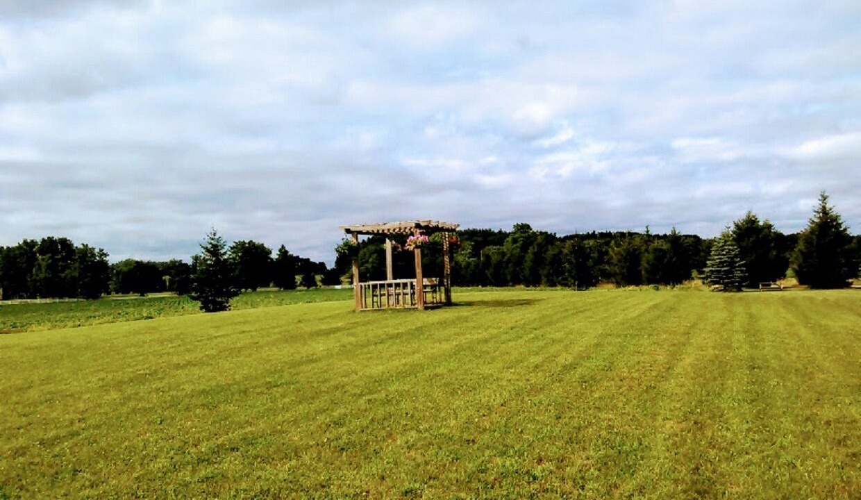 Photo of Outdoor in Marcellus