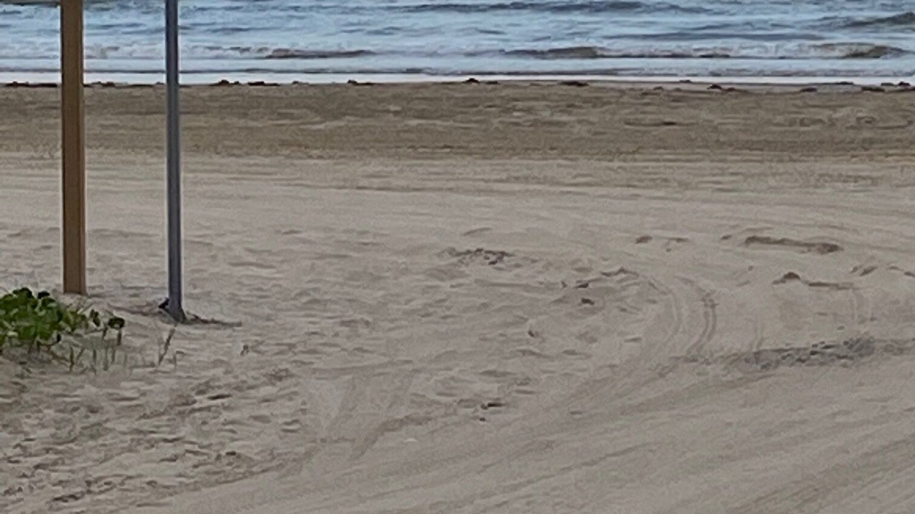Photo of Others in Port Bolivar