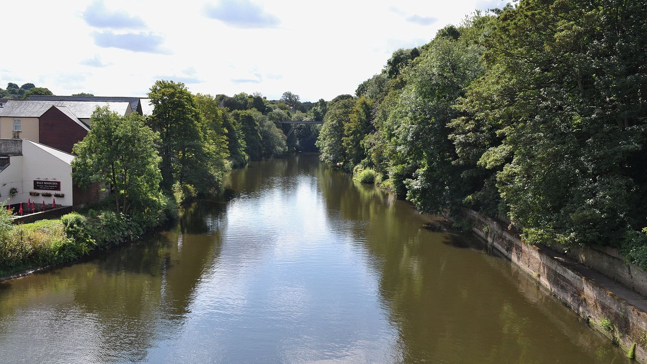 Photo of Others in Durham