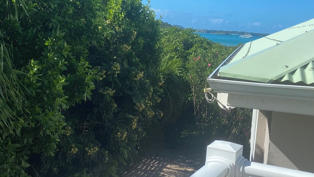 Photo of Others in La Savane