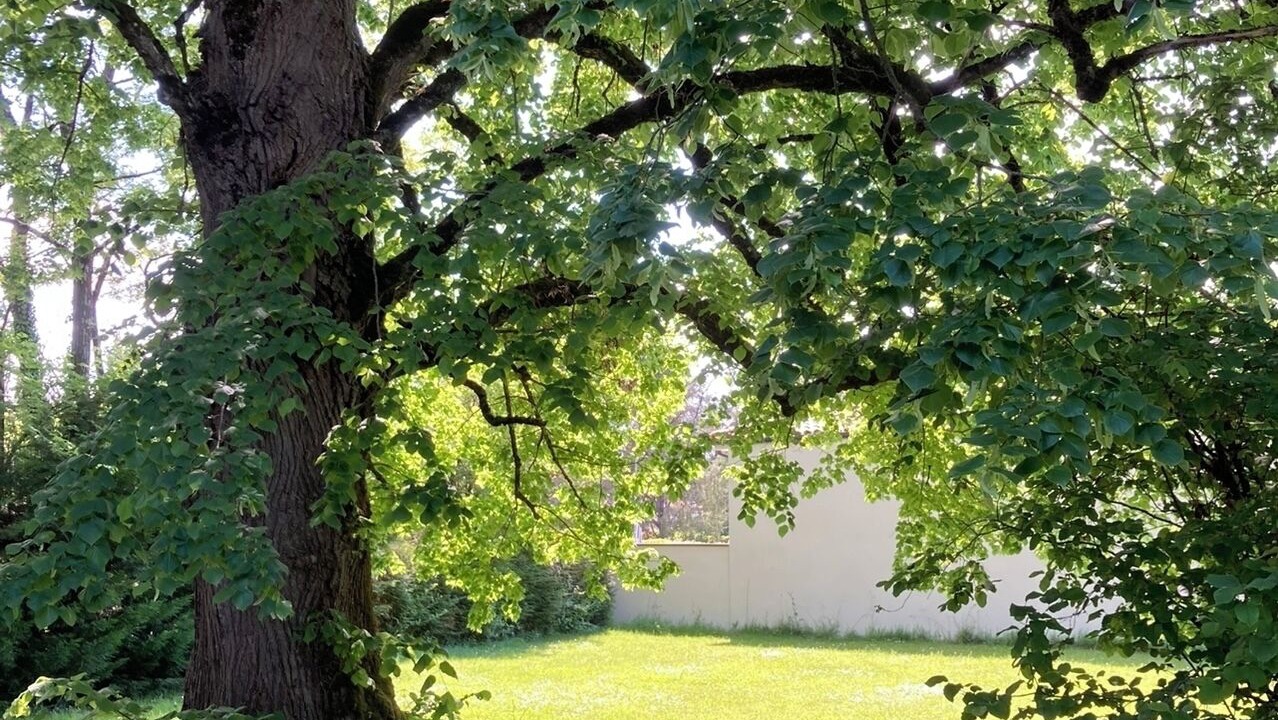 Photo of Outdoor in Terssac