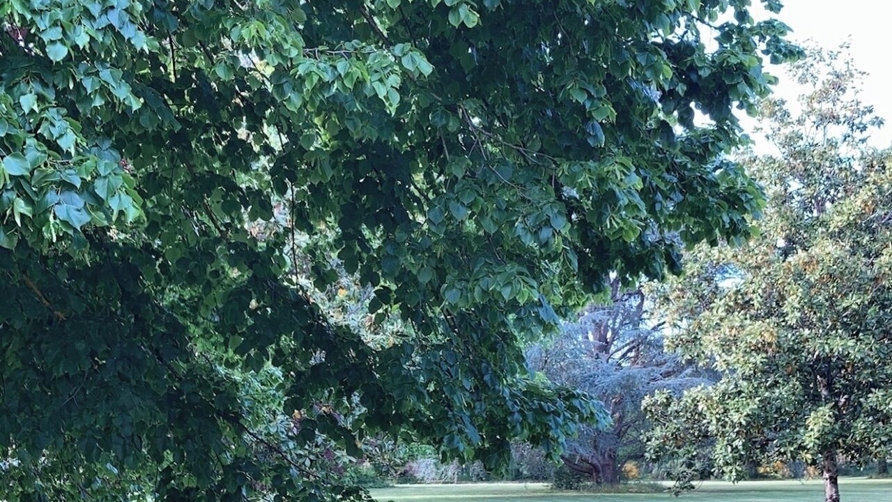 Photo of Others in Terssac