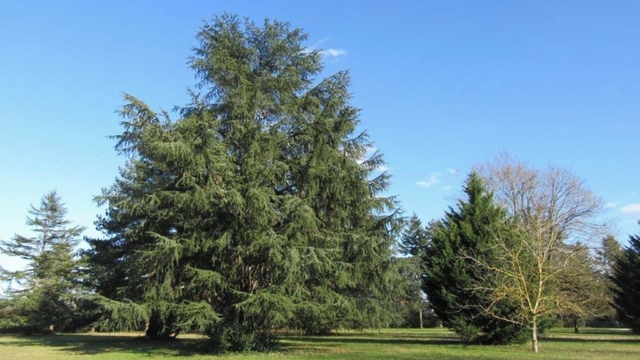 Photo of Others in Terssac