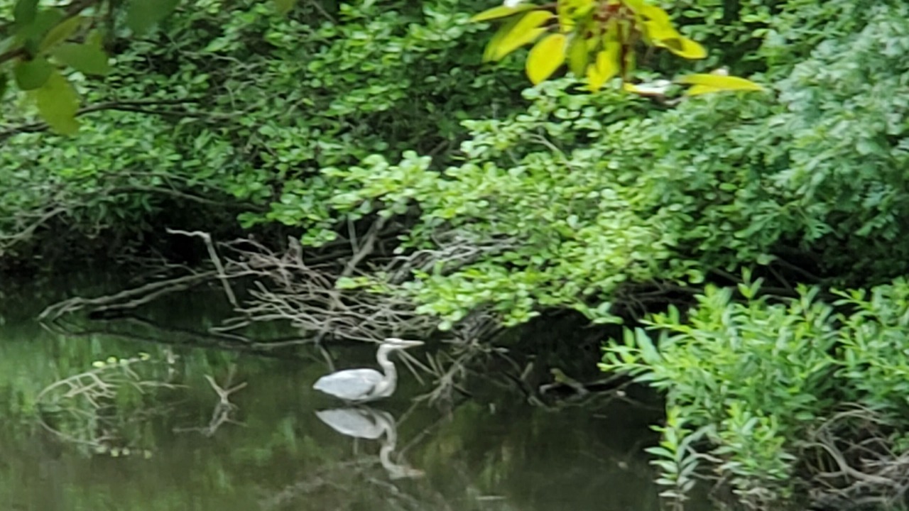 Photo of Outdoor in Severna Park