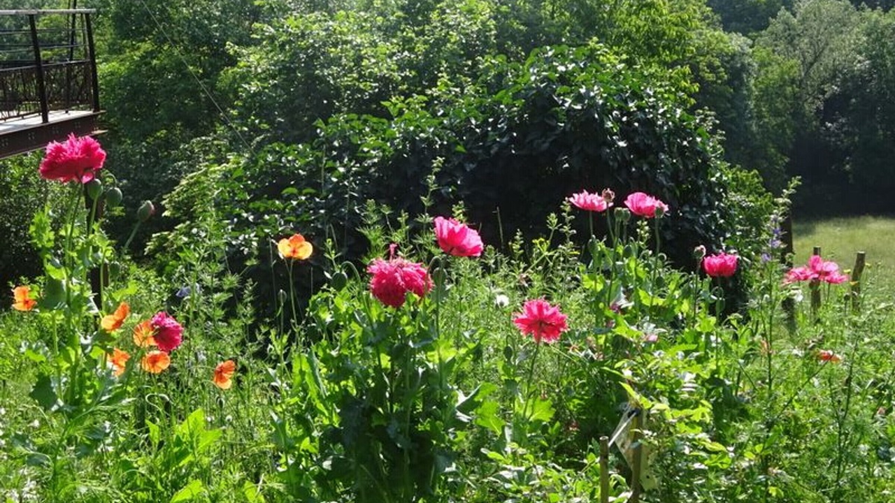 Photo of Outdoor in Le Puy-en-Velay