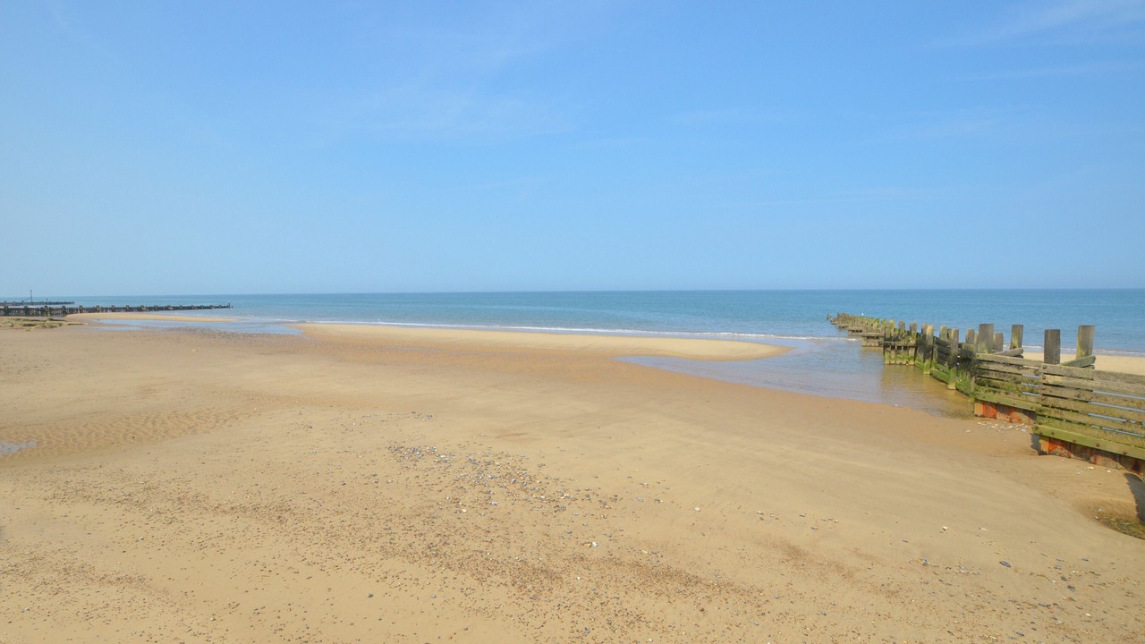 Photo of Others in Walcott