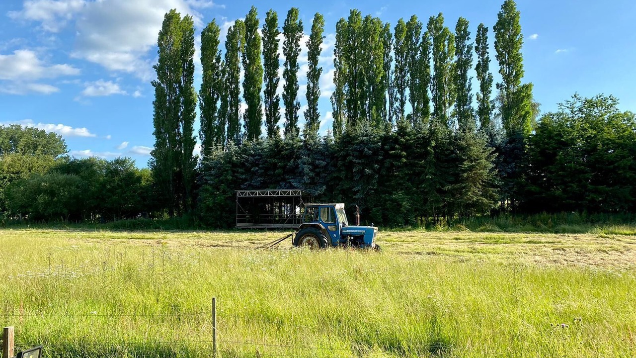 Photo of Others in Alderholt