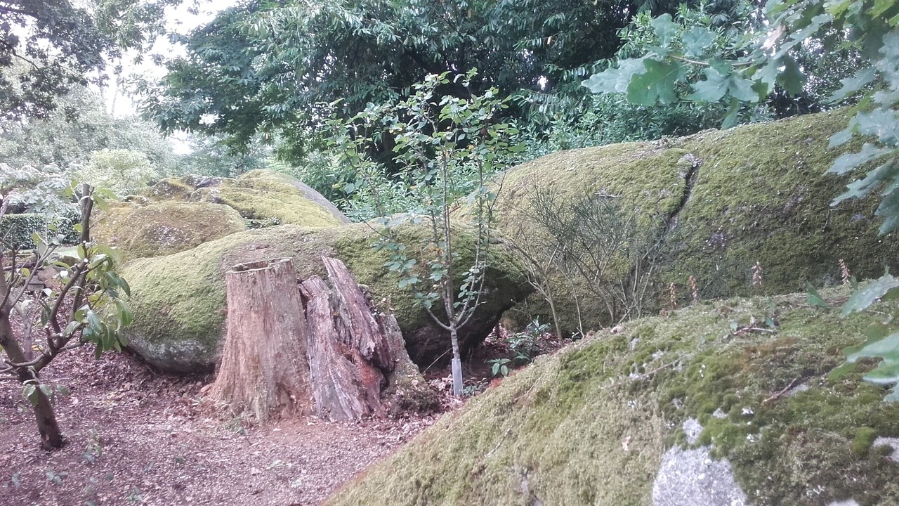 Photo of Outdoor in Tredion