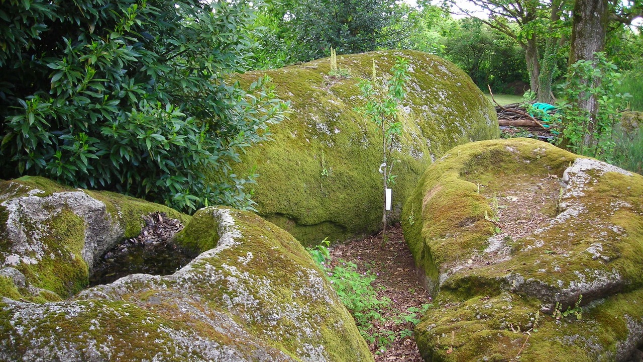 Photo of Outdoor in Tredion