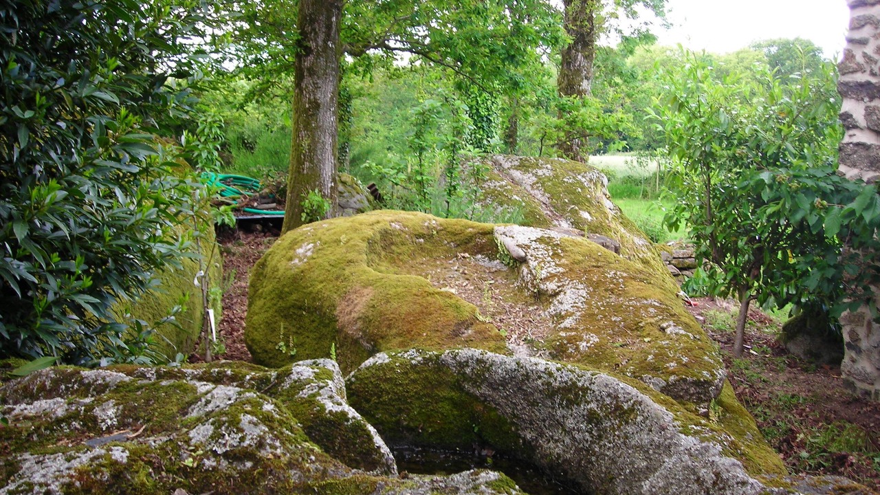 Photo of Outdoor in Tredion