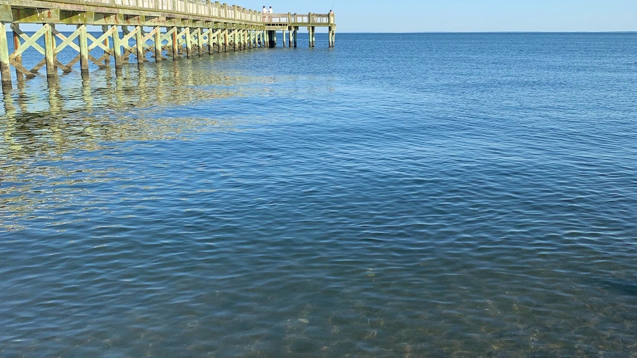 Photo of Others in Devon