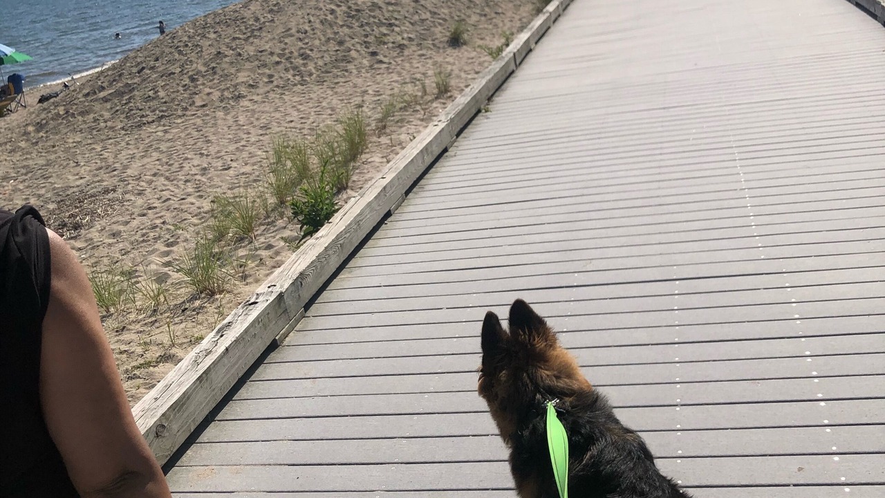 Photo of Others in Devon