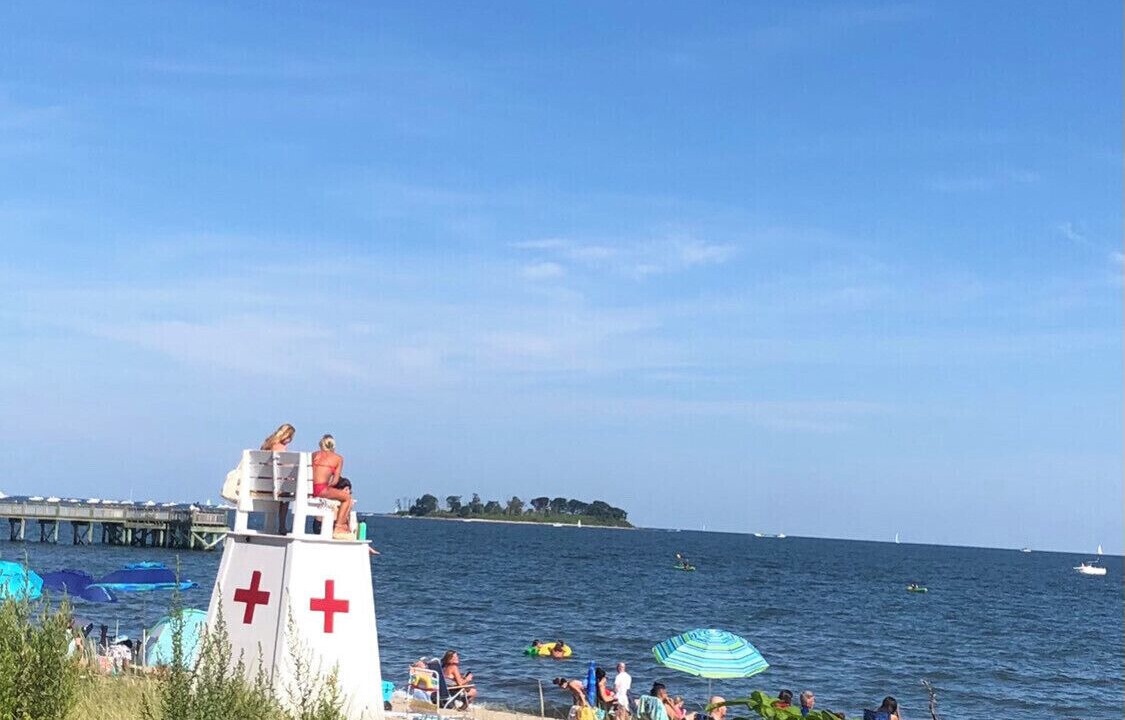 Photo of Others in Devon