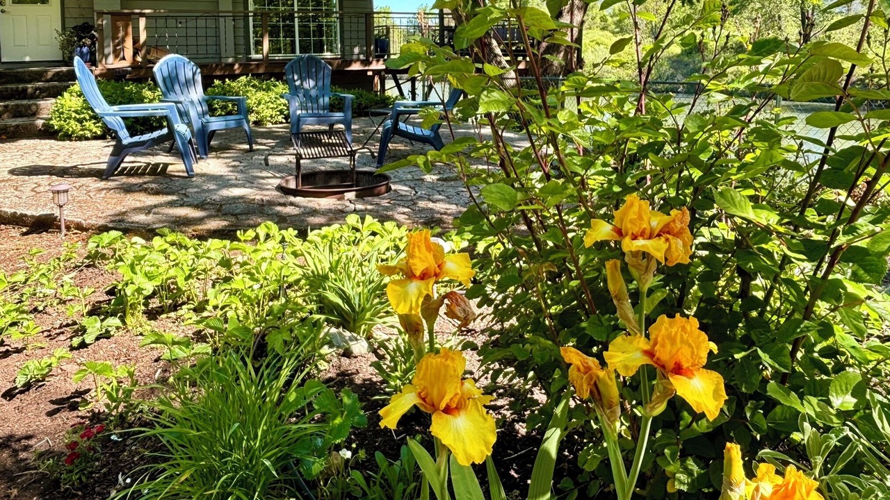 Photo of Outdoor in Grants Pass