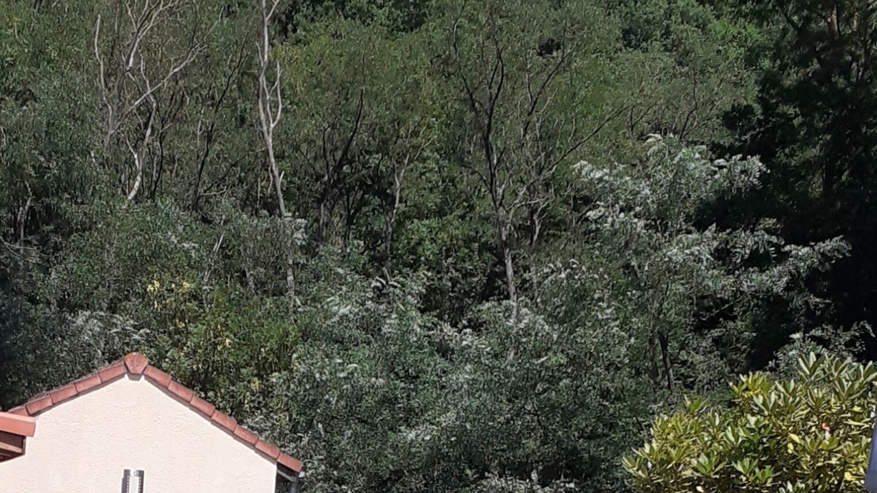 Photo of Outdoor in Montoulieu