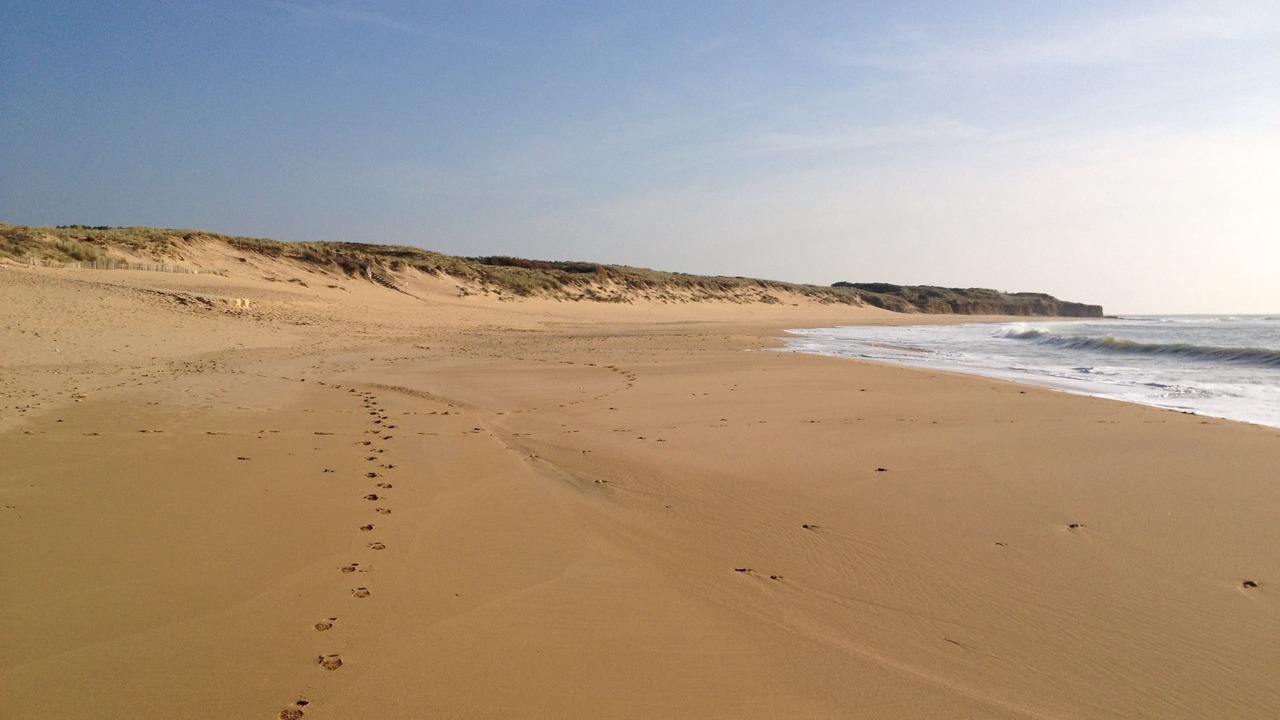 Photo of Others in Jard-sur-Mer