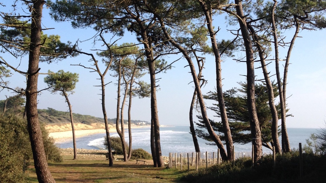 Photo of Outdoor in Jard-sur-Mer