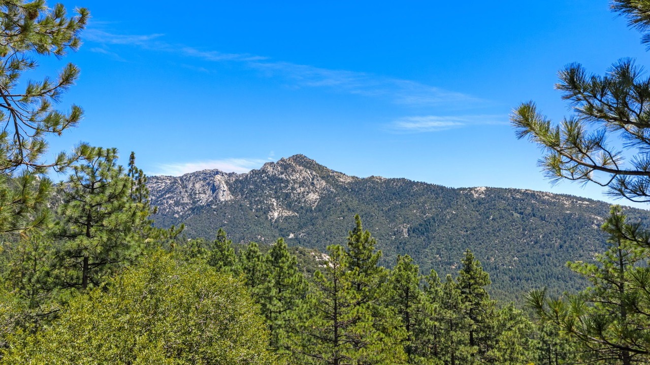 Photo of Others in Idyllwild