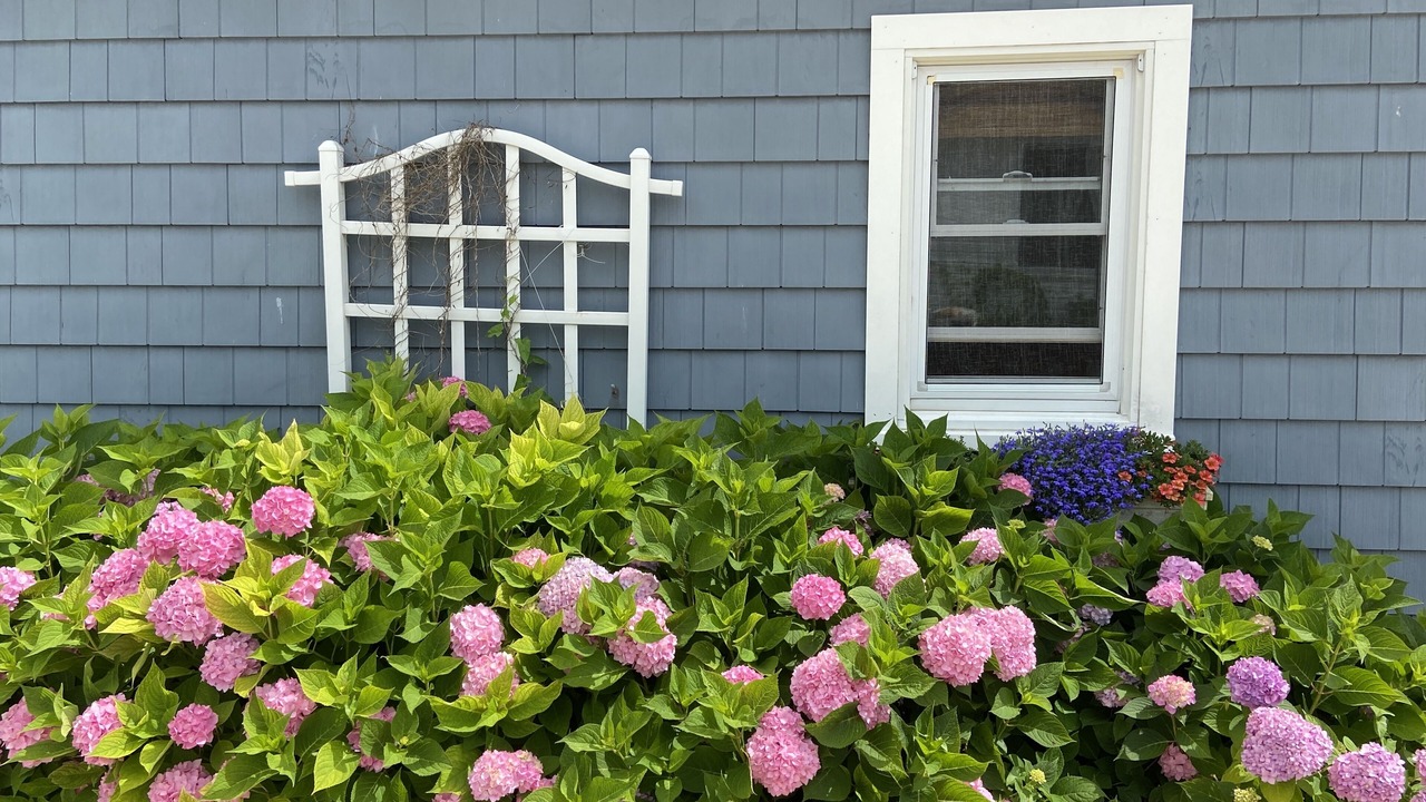 Photo of Outdoor in Town of Southold Town