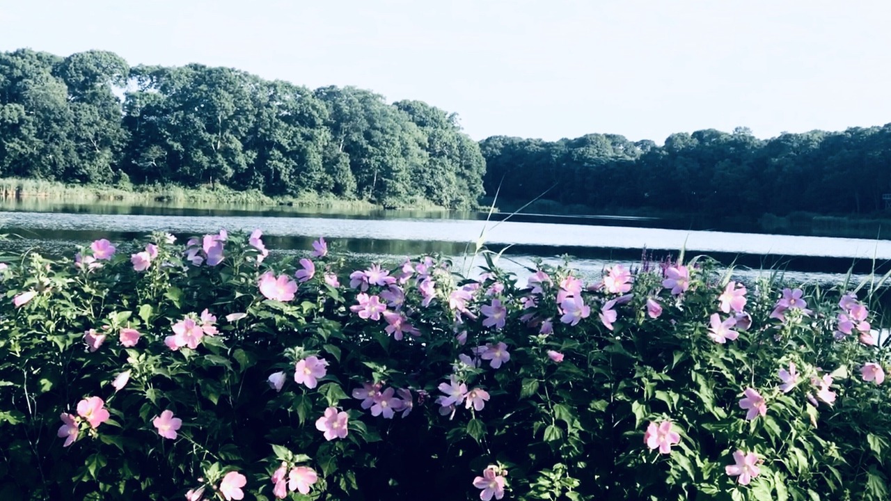 Photo of Outdoor in Town of Southold Town