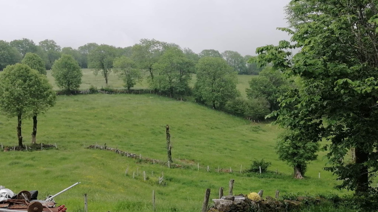 Photo of Outdoor in Trizac