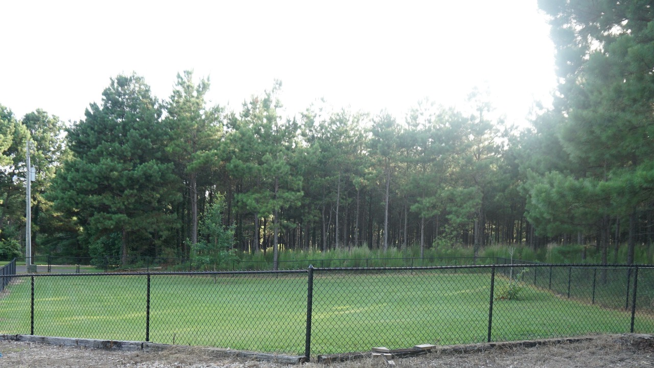 Photo of Outdoor in Jefferson