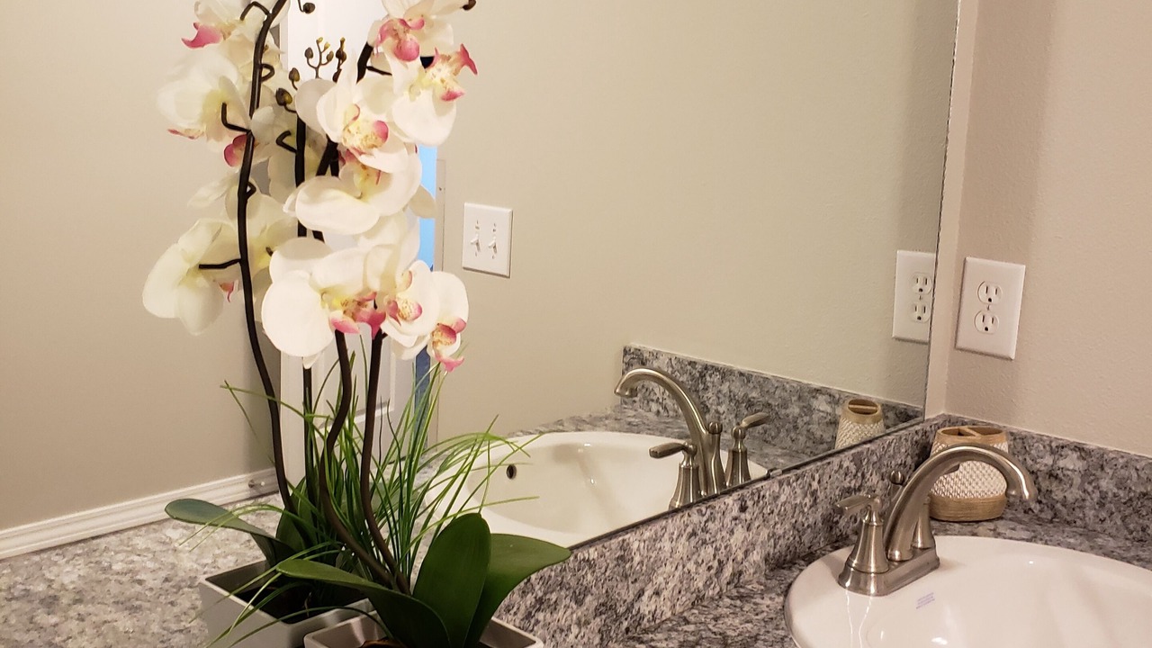 Photo of Bathroom in Ozark