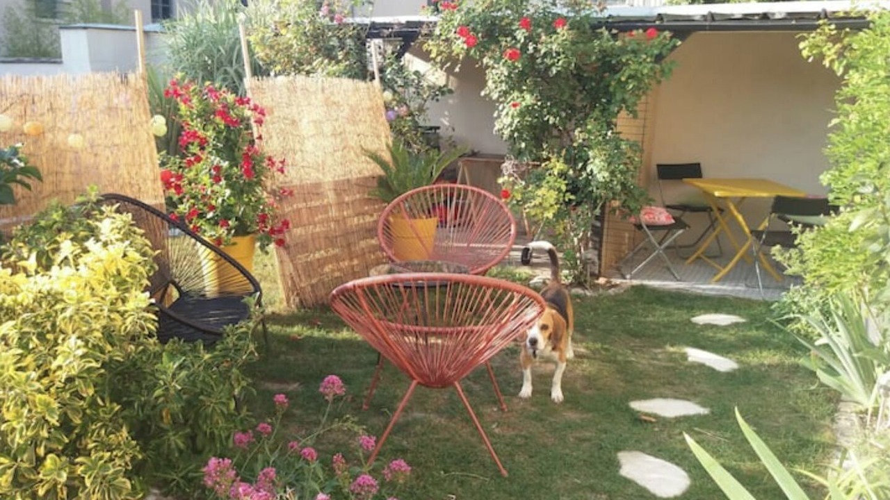 Photo of Outdoor in Tours