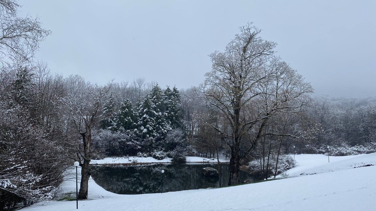 Photo of Others in East Jewett