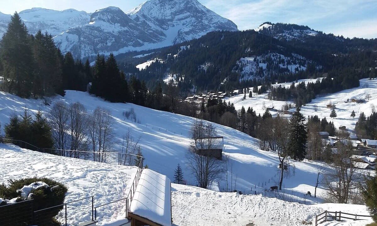 Photo of Others in Gstaad