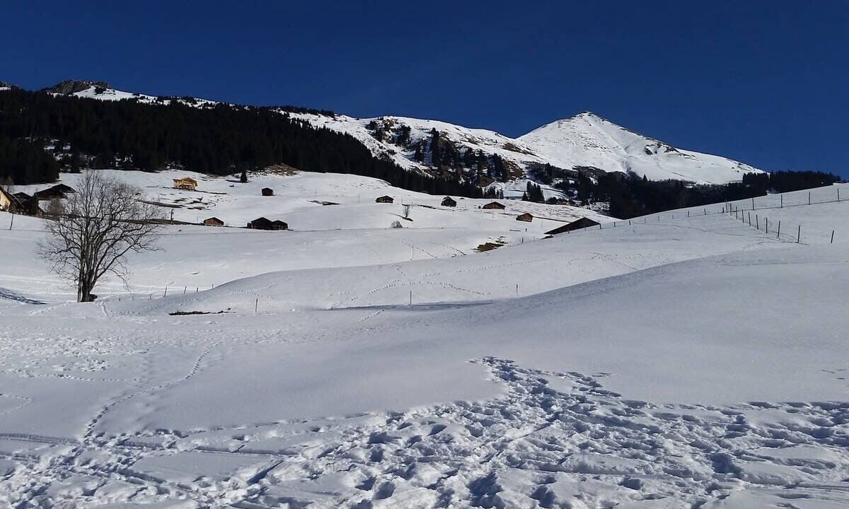 Photo of Others in Gstaad