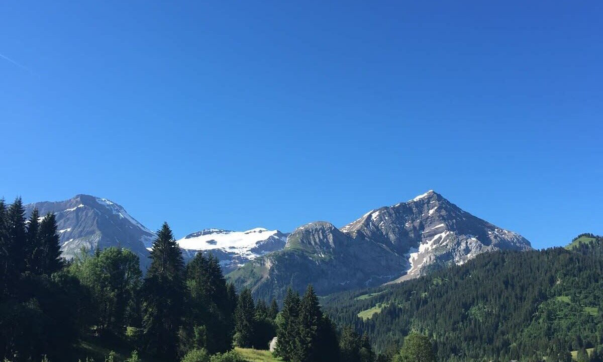 Photo of Others in Gstaad