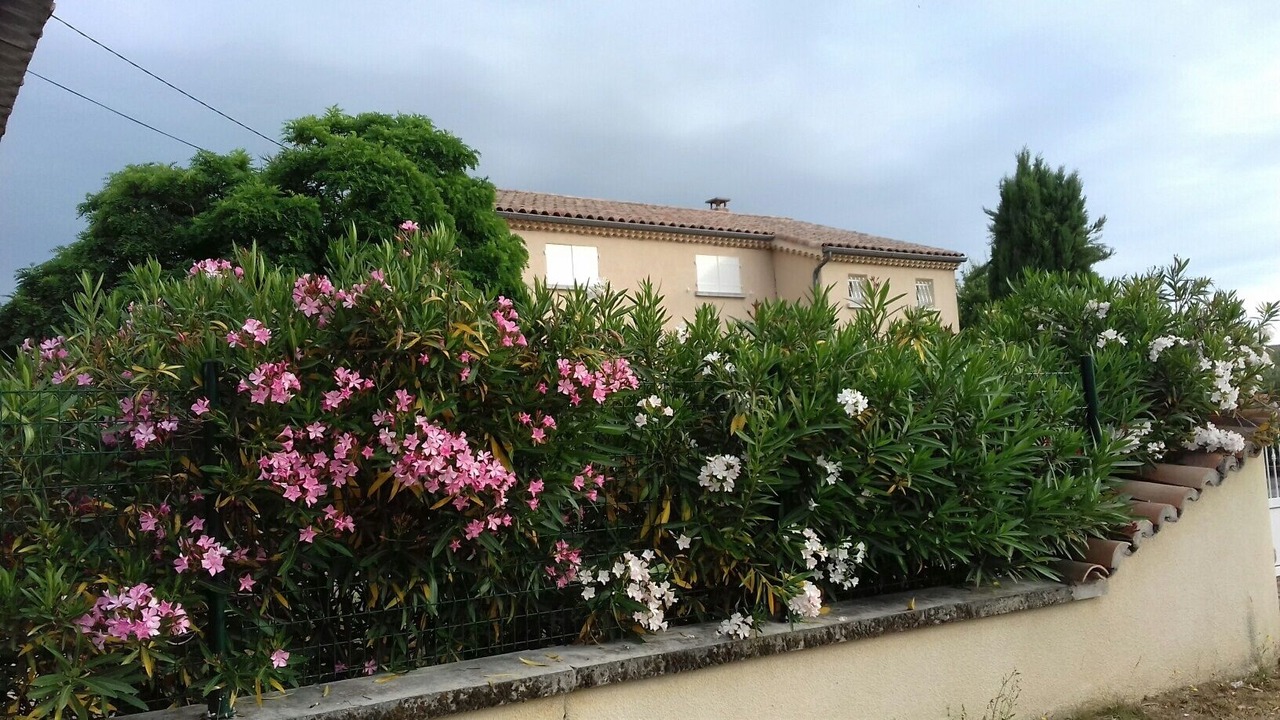 Photo of Outdoor in Saint-Germain