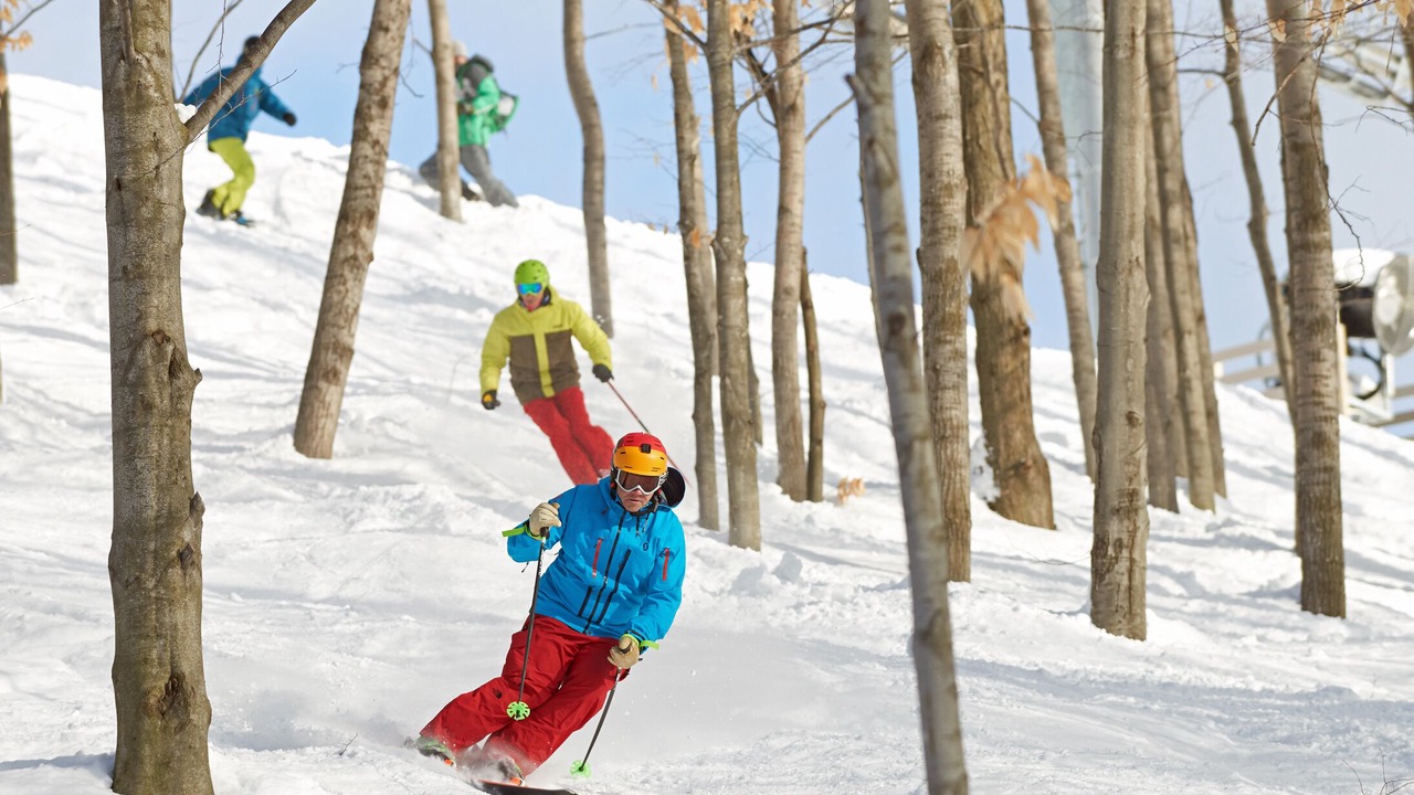 Photo of Others in Traverse City