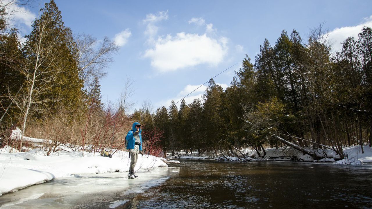 Photo of Others in Traverse City