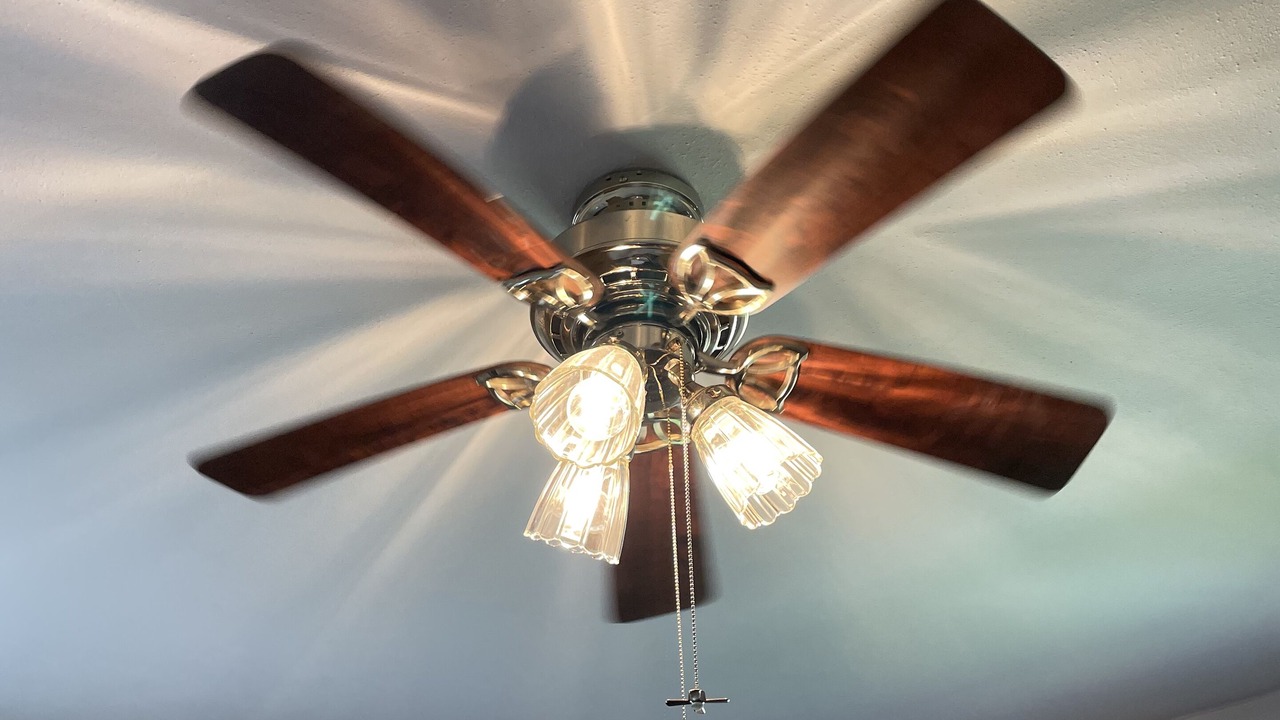 Photo of Others in Owatonna