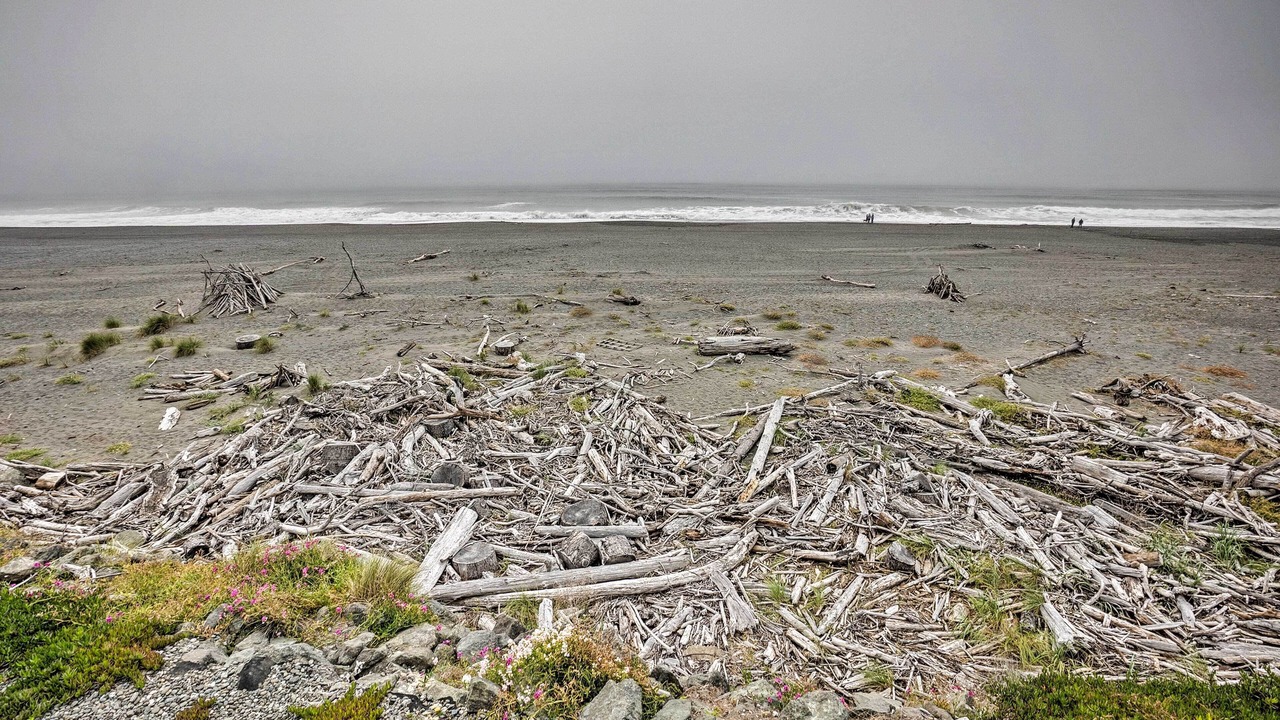Photo of Others in Gold Beach