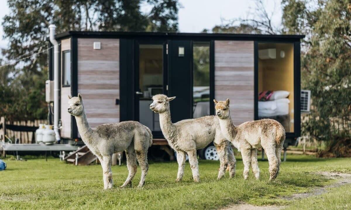 Photo of Bedroom in Alberton West